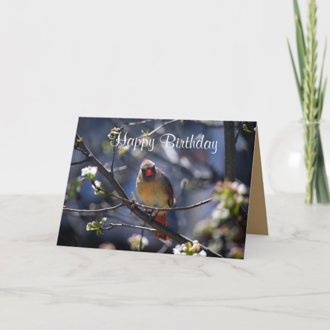 Happy Birthday Female Cardinal in Flowering Tree Card (Front)