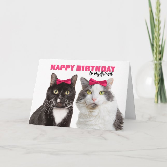 Happy Birthday Female Friend Cute Cats in Pink Bow Holiday Card (Front)