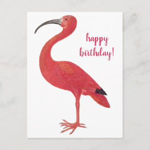 Happy Birthday Flamingo Vintage Fine Art Postcard
