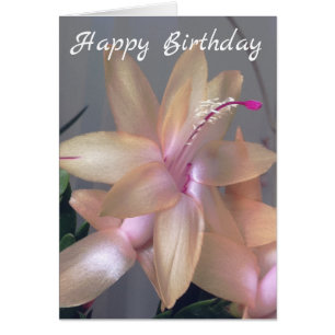 *~* Happy Birthday Flower Photography Customise
