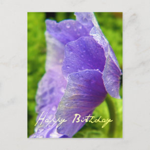 Happy Birthday Flower Postcard