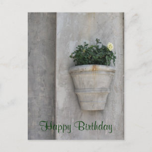 Happy Birthday flower Postcard