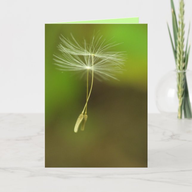 Happy Birthday - Flying Dandelion seeds Card (Front)