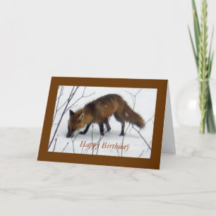 Happy Birthday For All Framed-Fox Card