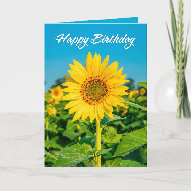 Happy Birthday For Anyone Beautiful Sunflower  Holiday Card (Front)
