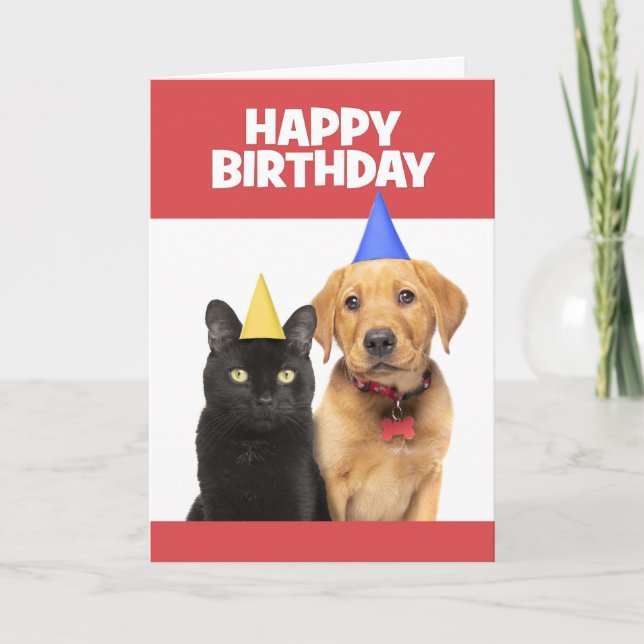 Happy Birthday For Anyone Cat and Dog in Party Hat Holiday Card (Front)