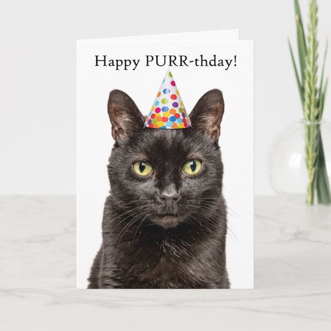 Happy Birthday For Anyone Cat in Party Hat Humour Holiday Card (Front)
