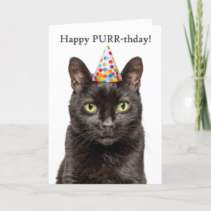 Happy Birthday For Anyone Cat in Party Hat Humour Holiday Card