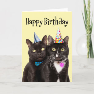 Happy Birthday For Anyone Cats in Party Hats Holiday Card