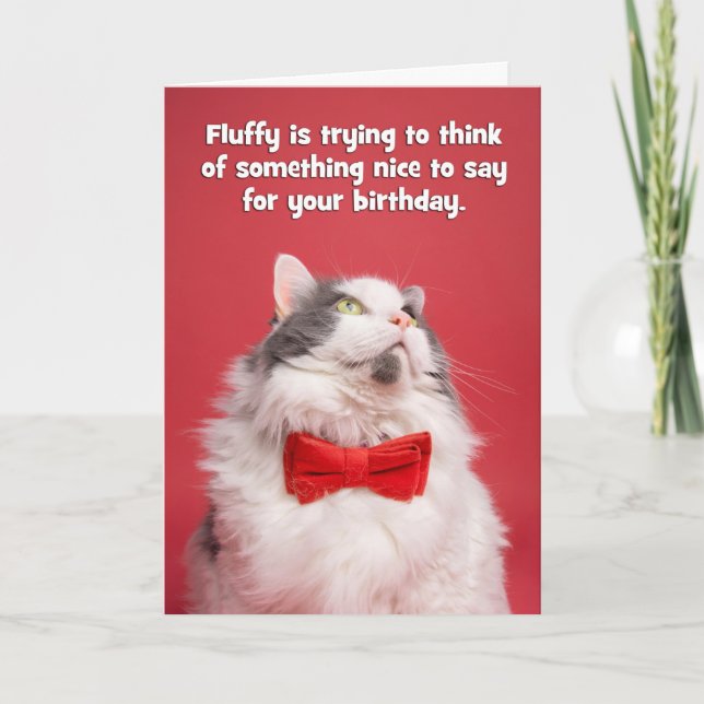 Happy Birthday For Anyone Cut Cat in Tie Humor Holiday Card (Front)