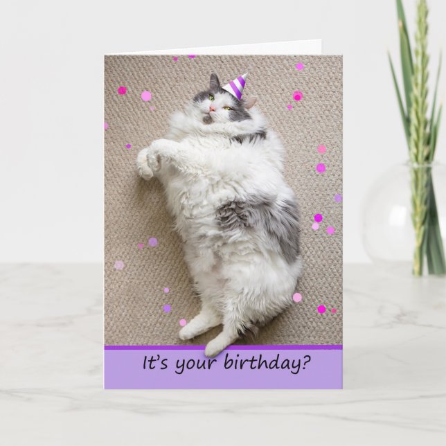 Happy Birthday For Anyone Fat Cat Down For Cake  Holiday Card (Front)