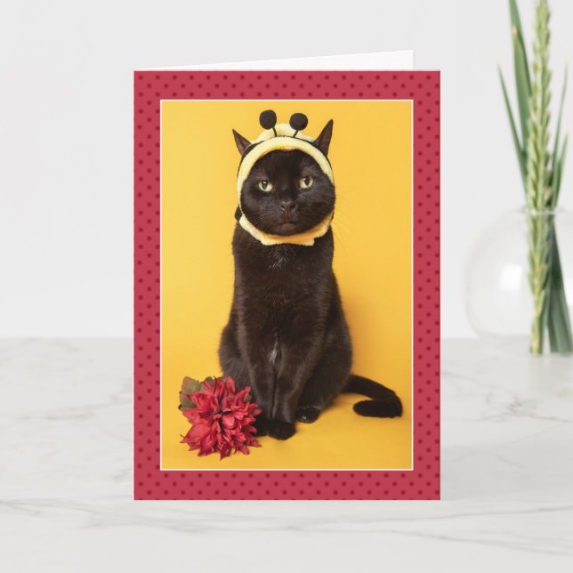 Happy Birthday For Anyone Funny Cat in Bee Costume Holiday Card (Front)