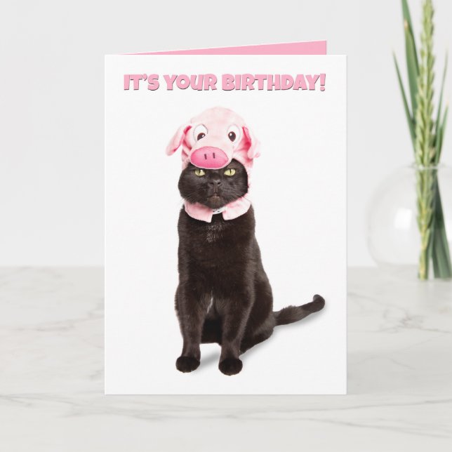 Happy Birthday For Anyone Funny Cat in Piggy Hat Holiday Card (Front)