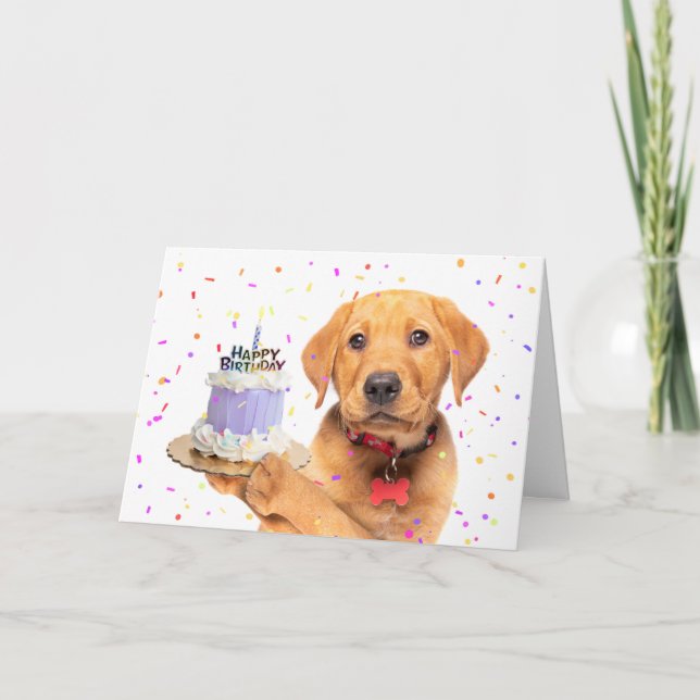 Happy Birthday For Anyone Puppy Holding Birthday  Holiday Card (Front)