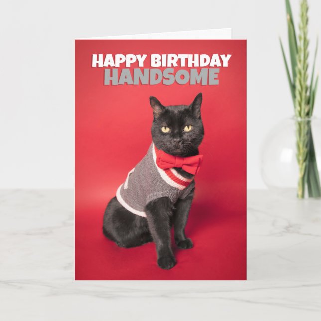 Happy Birthday For Him Cute Handsome Cat Humour Holiday Card (Front)