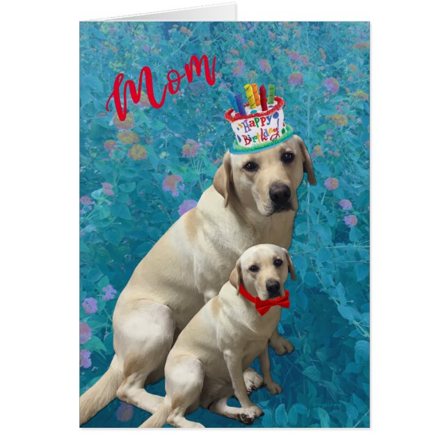 Happy Birthday for Mum - Labrador Dogs, Adorable (Front)