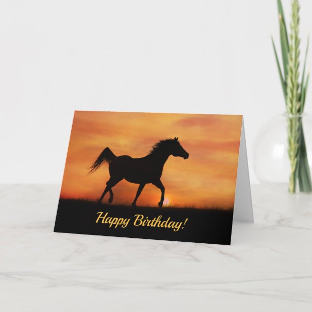 Happy Birthday Free Spirited Arabian Horse Card (Front)