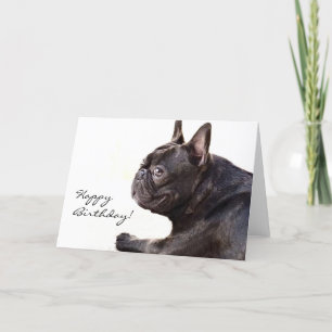 Happy Birthday French Bulldog card