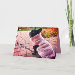 Happy Birthday French Bulldog Card