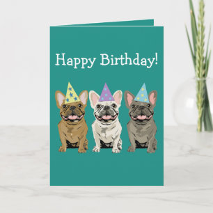 Happy birthday - French Bulldog Friends Card