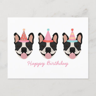 Happy Birthday French Bulldog Party Hats Pink Postcard
