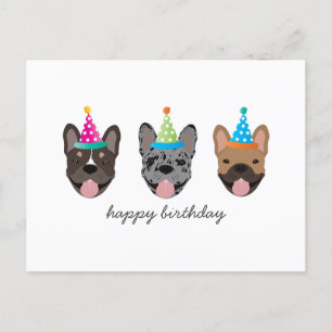 Happy Birthday French Bulldog Party Hats Postcard