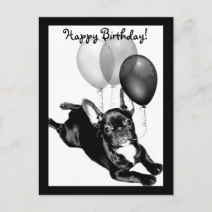 Happy Birthday French Bulldog postcard