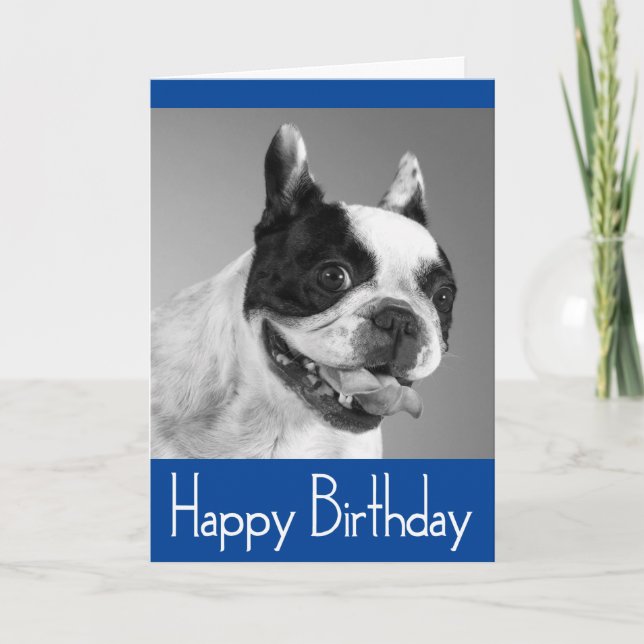 Happy Birthday French Bulldog Puppy Card - Verse (Front)