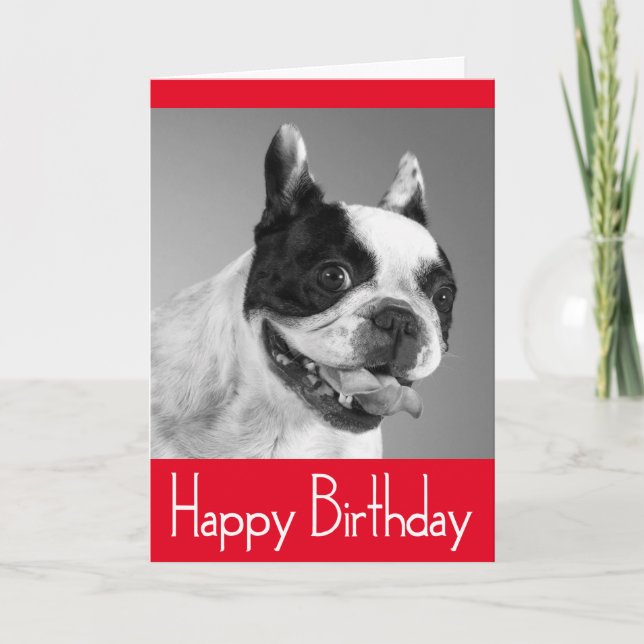 Happy Birthday French Bulldog Puppy Card - Verse (Front)