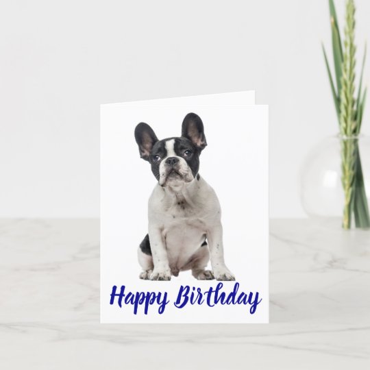 Happy Birthday French Bulldog Puppy Dog Frenchie Card | Zazzle.co.uk