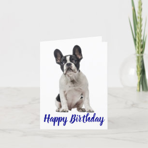Happy Birthday French Bulldog Puppy Dog Frenchie Card