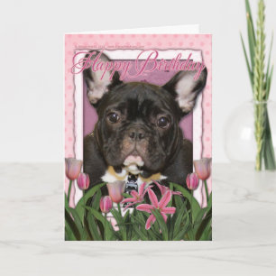Happy Birthday - French Bulldog - Teal Card