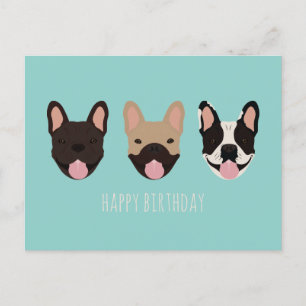 Happy Birthday French Bulldog Teal Postcard