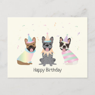 Happy Birthday French Bulldogs Postcard