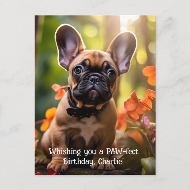 Happy Birthday Frenchie puppy in a jungle Postcard (Front)