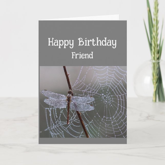 Happy Birthday Friend Dragonfly Dragonflies Card (Front)