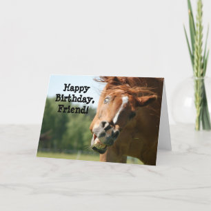 Happy Birthday Friend_Funny Horse Card