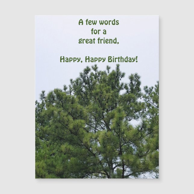 Happy Birthday Friend Magnetic Card (Front)