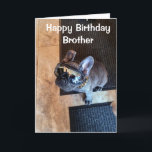 HAPPY BIRTHDAY FROM A COOL DOG "BROTHER"  CARD<br><div class="desc">LET ***A VERY SPECIAL BROTHER*** KNOW (LIKE YOU PROBABLY ALWAYS DO) HOW MUCH HE MEANS TO YOU ON "HIS BIRTHDAY" THIS YEAR! AND,  THANK YOU SO MUCH FOR STOPPING BY ONE OF MY EIGHT STORES!!!!</div>