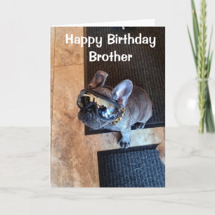 HAPPY BIRTHDAY FROM A COOL DOG "BROTHER"  CARD