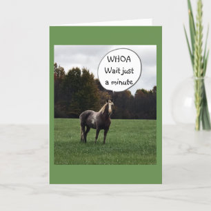 HAPPY BIRTHDAY FROM A VERY SMART HORSE CARD