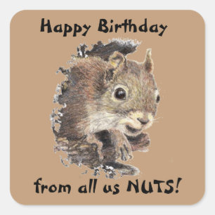 Happy Birthday from all us NUTS Cute Squirrel Fun Square Sticker