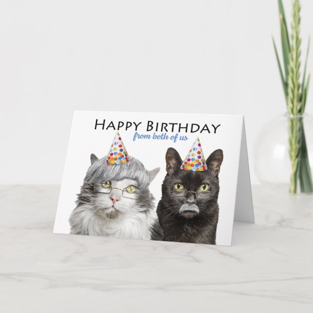 Happy Birthday From Both of Us Old Cats Humour Holiday Card (Front)