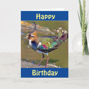 HAPPY BIRTHDAY FROM "COMEDIC BIRD" CARD