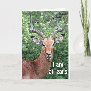 HAPPY BIRTHDAY FROM "COMEDIC DEER" CARD