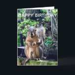 Happy Birthday from Deez Nuts Funny Squirrel Photo Card<br><div class="desc">Happy Birthday from DEEZ NUTS! A hilarious squirrel play on words joke about his nuts. Crude humour on an adult's birthday card. Make your friends laugh with this pop culture quote.</div>