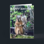 Happy Birthday from Deez Nuts Funny Squirrel Photo Card<br><div class="desc">Happy Birthday from DEEZ NUTS! A hilarious squirrel play on words joke about his nuts. Crude humour on an adult's birthday card. Make your friends laugh with this pop culture quote.</div>