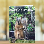 Happy Birthday from Deez Nuts Funny Squirrel Photo Card<br><div class="desc">Happy Birthday from DEEZ NUTS! A hilarious squirrel play on words joke about his nuts. Crude humour on an adult's birthday card. Make your friends laugh with this pop culture quote.</div>