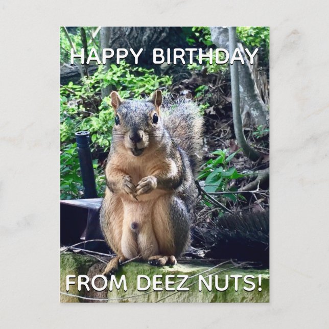 Happy Birthday from Deez Nuts Funny Squirrel Photo Postcard (Front)