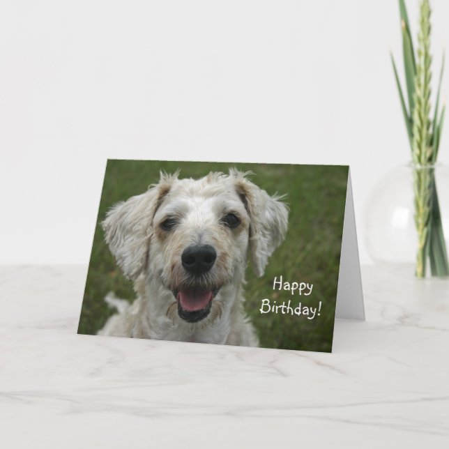 Happy Birthday from Dog Card (Front)